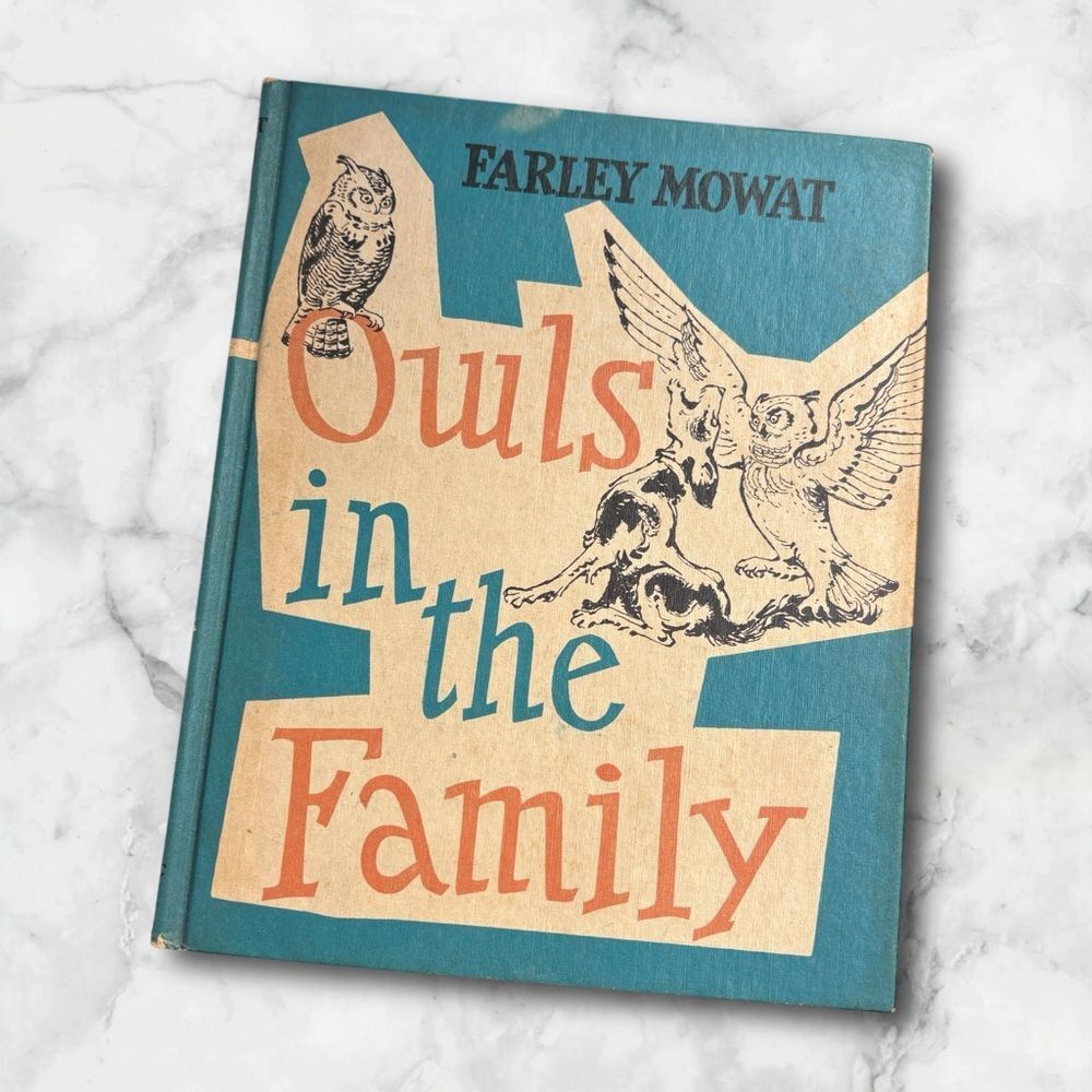 Vintage Blue and Cream Kids Book
